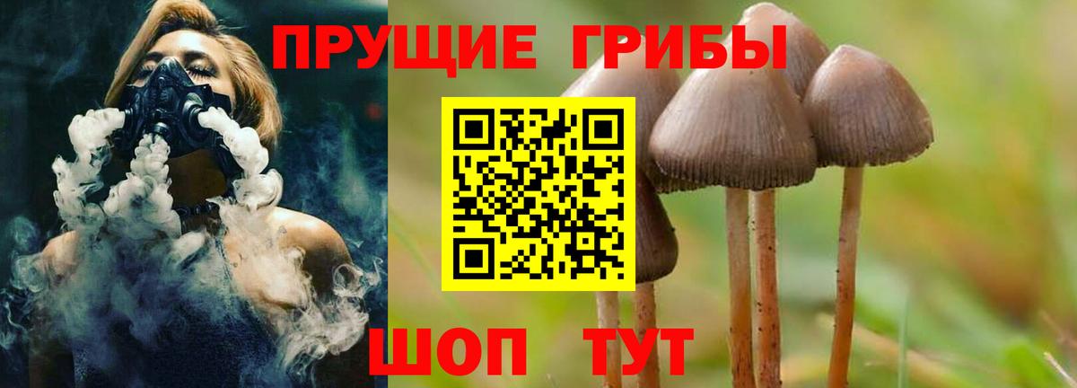 Среднеуральск  Псилоцибиновые грибы Psilocybine cubensis  Вход с VPN 